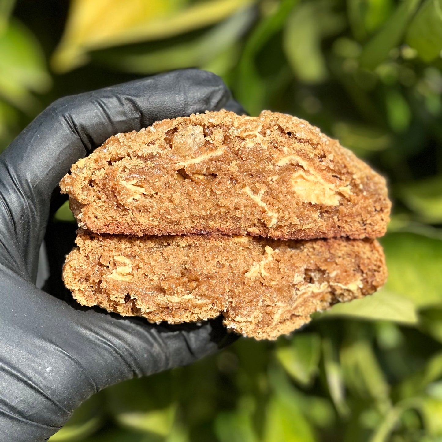 Ginger Molasses Toasted White Chocolate