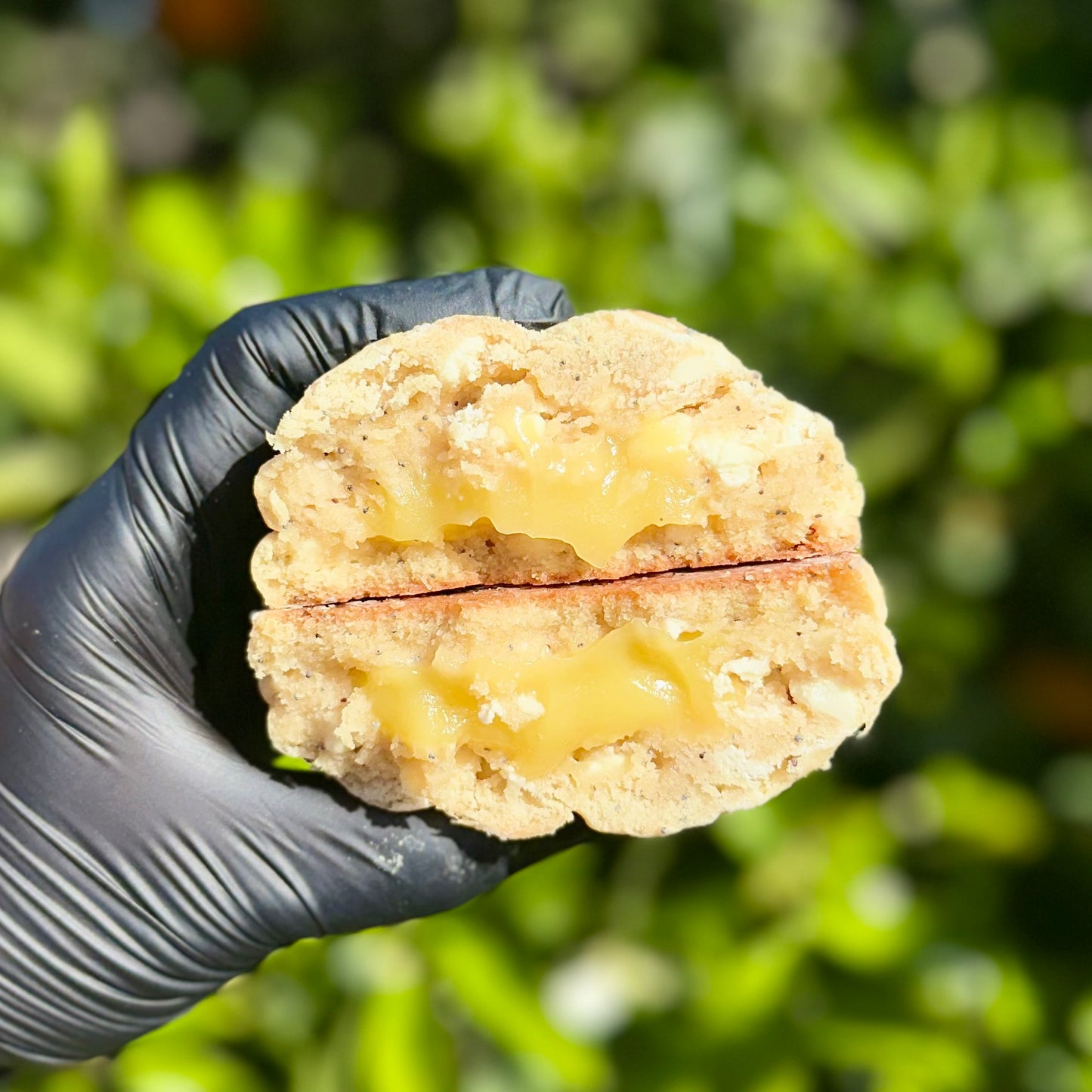 Lemon Poppyseed (limited special)